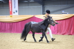 SBM_19615