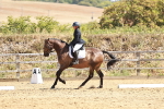 SBM_001688