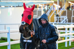 141125-Race 6-Aeroplane Blonde-1243