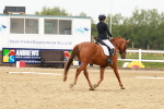 SBM_001809