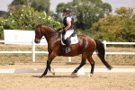 SBM_008558