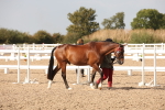 SBM_08127