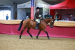 SBM_00285