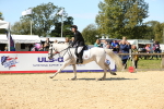 SBM_19036