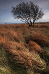 Big Moor, Peak District