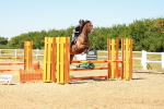 SBM_006685