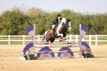 SBM_03850