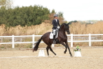 SBM_009597