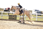 SBM_001647