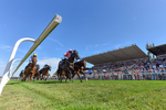 120826-Race 3-Sir David-4885