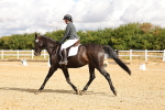 SBM_003333