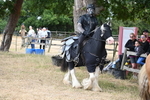 WJ6_8913