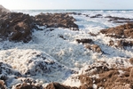 Newquay, Cornwall