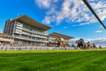 Race 5 3.45pm Copper Knight - Winning Most Horse At York Handicap portfolio
