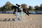 20261031-1370