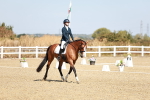 SBM_017313