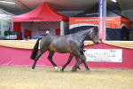 SBM_04191