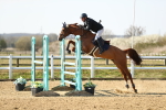 Class 5 - Senior Foxhunter - 1.20m portfolio