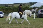 Class 42: NPS Dales, Fell, Highland portfolio