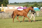 SBM_10495