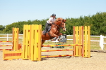 SBM_006209