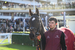 251025-Race 3-Ballycamus-8051