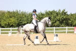 SBM_010169