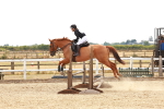 SBM_004378