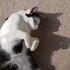Shadow play