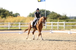 SBM_007523