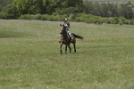 BVHT 140517  IXC -792