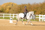 SBM_000915