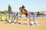 SBM_003272