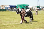 SBM_04243