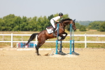 SBM_000383