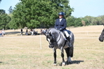 WJ6_9006