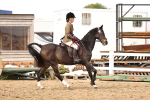 SBM_03695