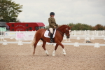 SBM_06085