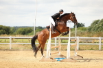 SBM_010333