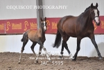 JAC_5595