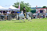 SBM_13906