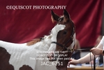JAC_6751