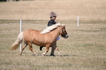 WJ6_9289