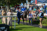 240824-Race 5-Elmonjed-1565