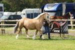 SBM_02198