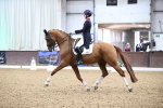 SBM_009203