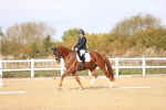 SBM_009604