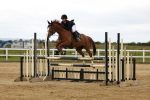 SBM_009388