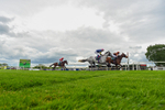 210526-Race 4-Analogical-2704