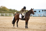 SBM_001795
